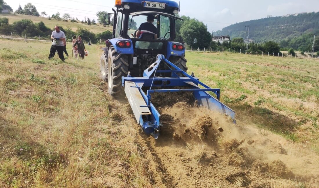 Türkiye’nin en özel ve en nadir tarım ürünlerinden biri olan Safranbolu