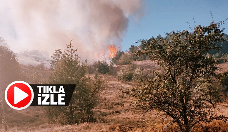 Ovacık Gökçedüz Köyü Akbıyık Mahallesi mevkiinde çıkan orman yangını akşam