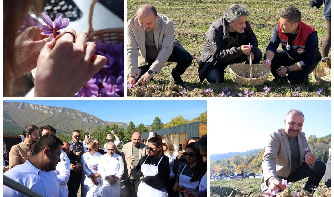 Cumhurbaşkanı Recep Tayyip Erdoğan’ın eşi Emine Erdoğan’ın himayesindeki Anadoludakiler Projesi